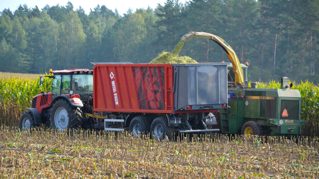 Przyczepa T935/6 LionPOWER - załadunek kukurydzy